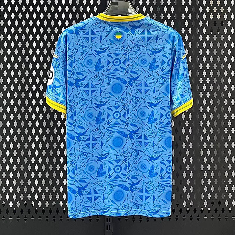 Camisola Wolverhampton Alternativa 25/26