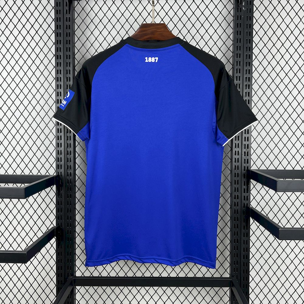 Camisola Hamburguer SV Alternativa 25/26