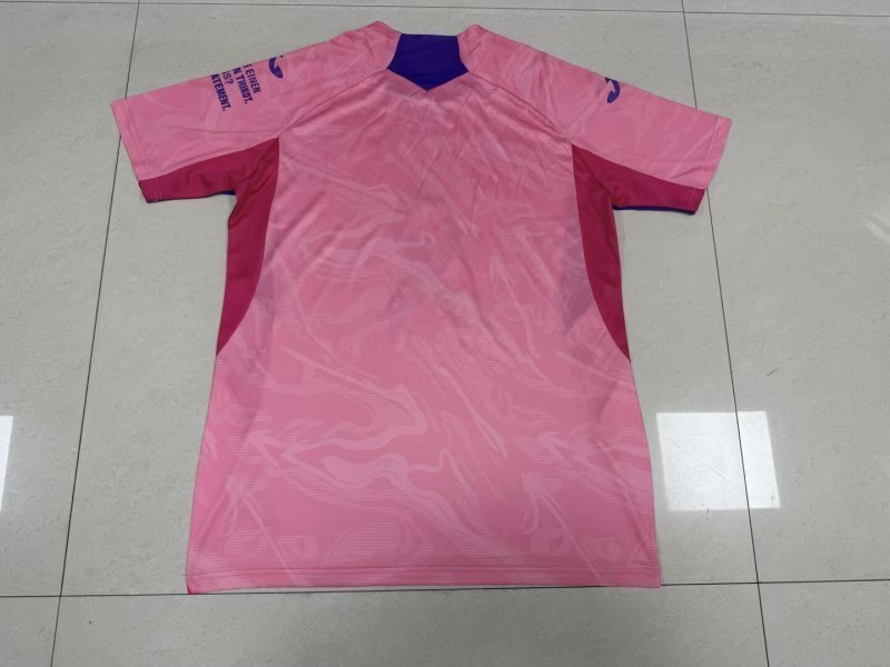 Camisola Hoffenheim Especial 25/26