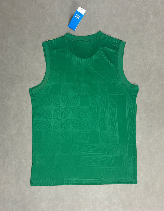 Camisola México Treino 2026