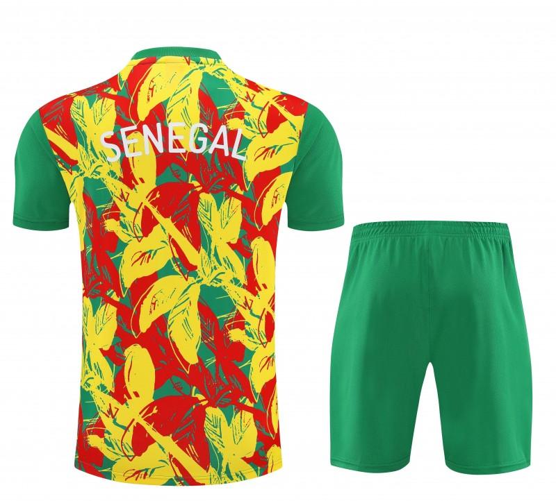 Equipamento Adulto Senegal Treino 2026