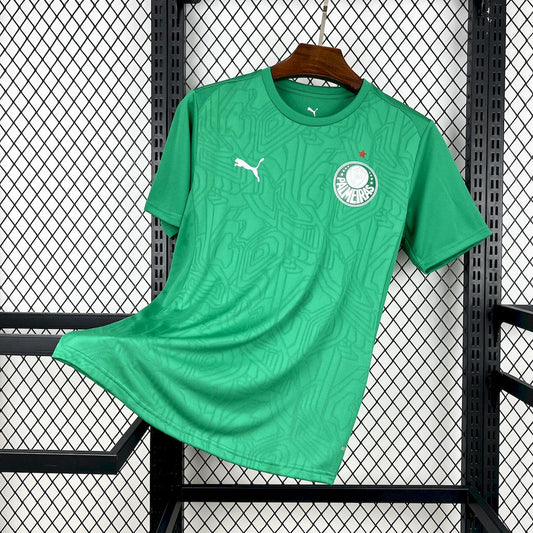 Camisola Palmeiras Aquecimento 25/26