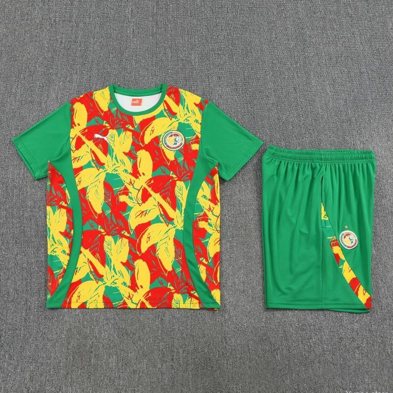 Equipamento Adulto Senegal Treino 2026