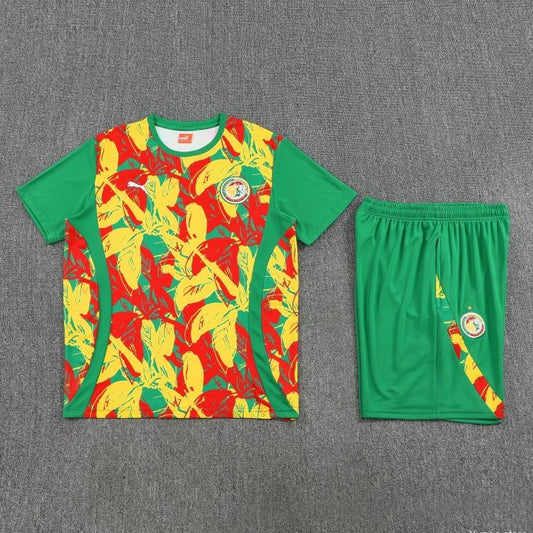 Equipamento Adulto Senegal Treino 2026