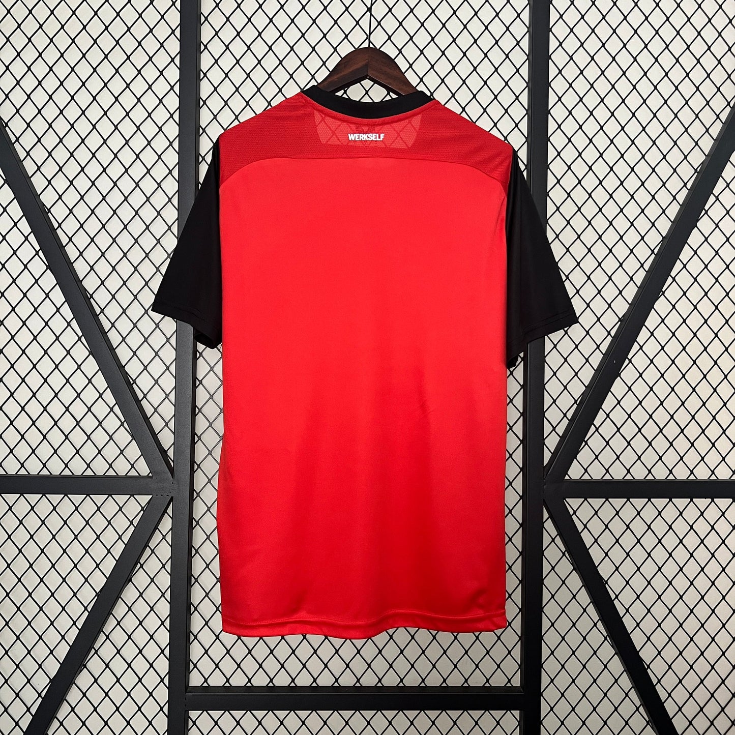 Bayer Leverkusen 2024/25