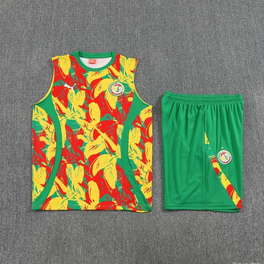 Equipamento Adulto Senegal Treino 2026