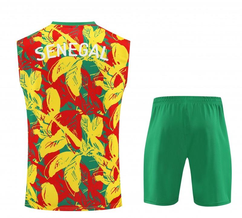 Equipamento Adulto Senegal Treino 2026