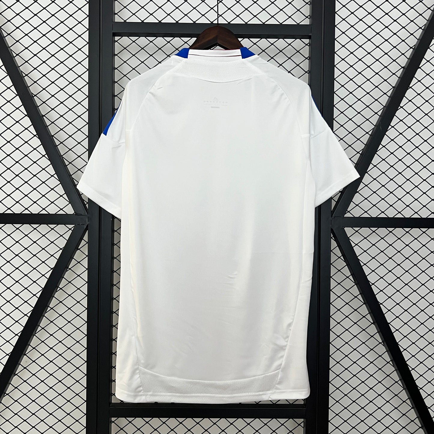 Retro Olympique Lyonnais Principal 2010/11