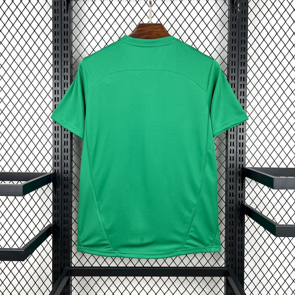 Camisola Palmeiras Aquecimento 25/26