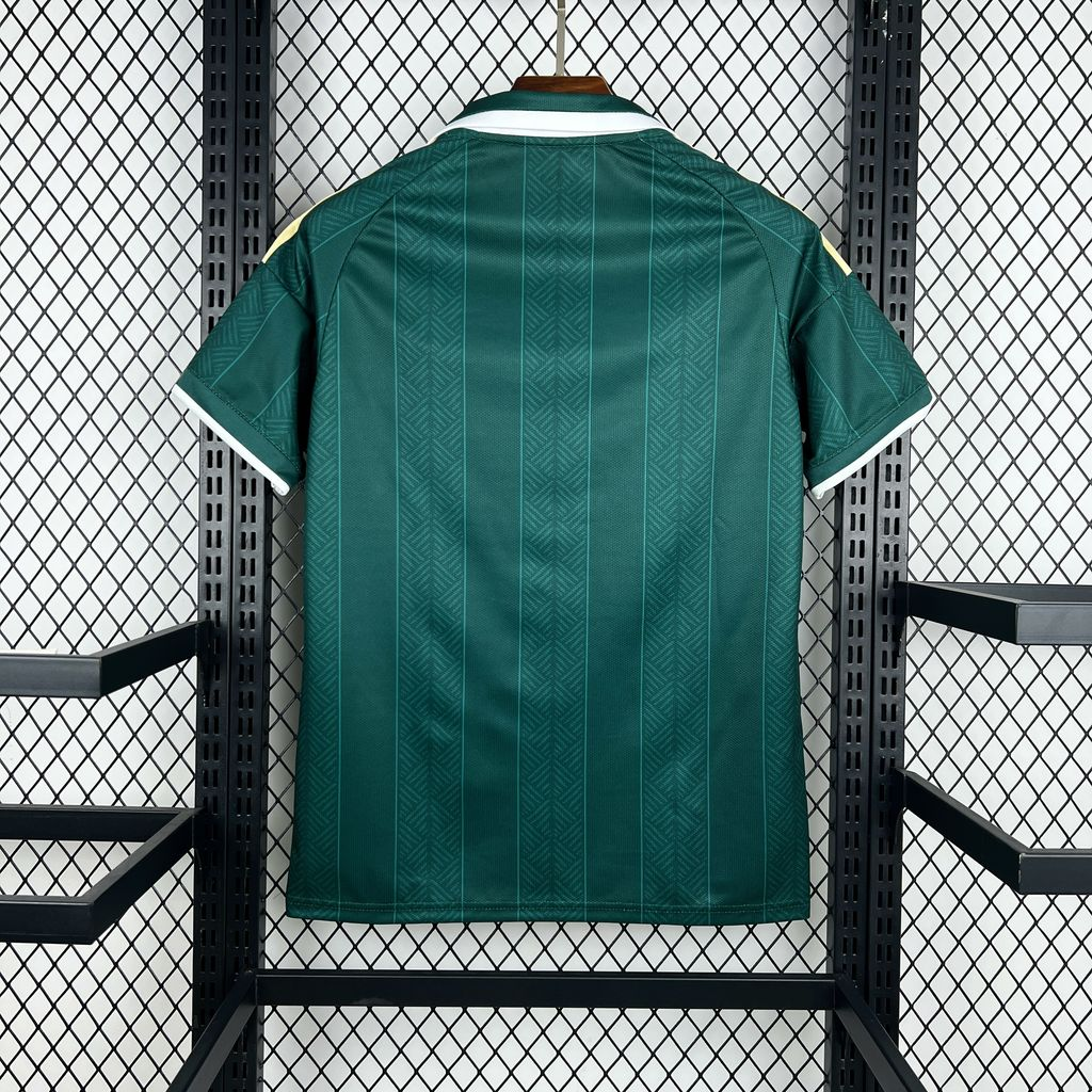 Camisola África do Sul Alternativa 2026